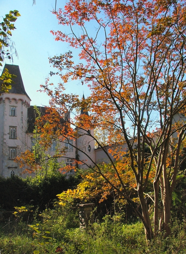 Castetis et son chateau...